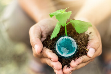 hand touching planting small plants with holographic soil environmental science with new future technology business planning development and conservation protection