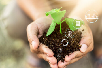 Fototapeta na wymiar hand touching planting small plants with holographic soil environmental science with new future technology business planning development and conservation protection