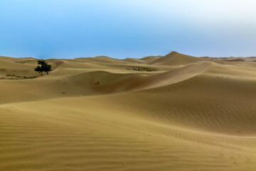 Fototapeta na wymiar Al Ain Desert Al Ain, Desert, UAE, View, Tour