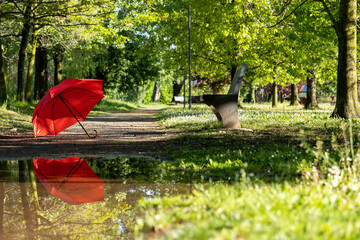 red umbrella in the park