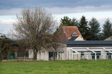 Fototapeta na wymiar Merchtem, Flemish Brabant Region, Belgium, Green meadows and glasshouses at a Belgian farm