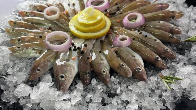 The haddock is a fish species belonging to the Gadidae family.