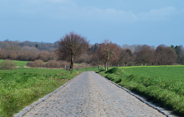 Fototapeta na wymiar Old cobble stone road through the fields around Asse, Belgium