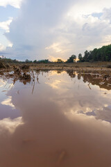 Puddle of water and mud after the storm in an agricultural field