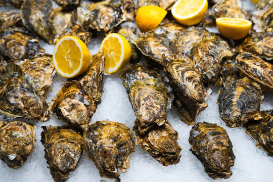 A bunch of fresh oysters laying on white ice at the street market outdoors.