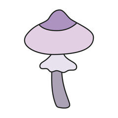 Amanita vector icon. Color vector icon isolated on white background amanita.