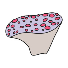 Amanita vector icon. Color vector icon isolated on white background amanita.