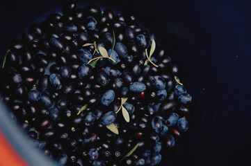 a lot of black olives