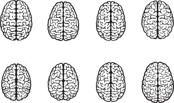 Human brain icon set, Vector illustration SVG, on a white background