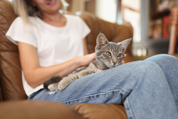 Female sitting on sofa and petting grey cat