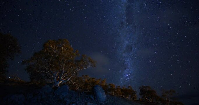Australia Beautiful Stunning Milky Way Souther Cross Night Star Trails Timelapse Gum Trees