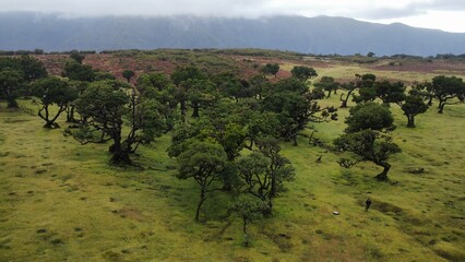 Jak Afryka © Waleria