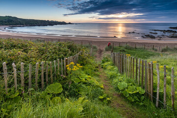 Fototapeta na wymiar Path to the beach at Coldingham Bay near Eyemouth in the Scottish Borders. Taken on an early summer morning.