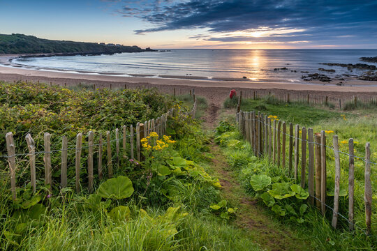 Path to the beach at Coldingham Bay near Eyemouth in the Scottish Borders. Taken on an early summer morning.