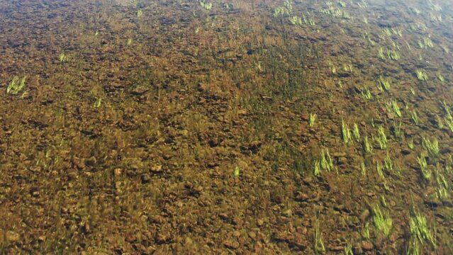 Southern Urals, mountain river Zilim near the Kinderlin cave: stone riverbed and algae. Aerial view.