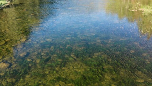 Southern Urals, mountain river Zilim near the Kinderlin cave: stone riverbed and algae. Aerial view.