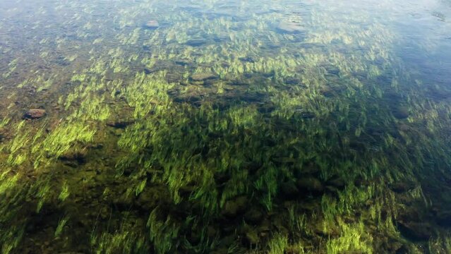 Southern Urals, mountain river Zilim near the Kinderlin cave: stone riverbed and algae. Aerial view.