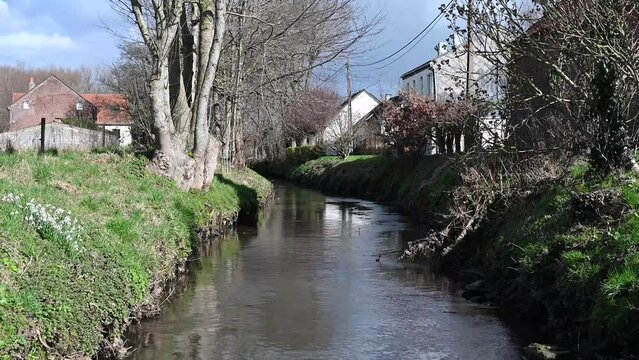 The Hoge Molenbeek creek through the meadows at the Belgian countryside around Merchtem, Flemish Brabant Region, Belgium