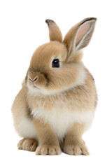 Obraz premium A spring-themed illustration featuring adorable isolated bunnies and rabbits surrounded by colorful flowers, including roses, all set on a transparent background and provided in PNG. Generative AI