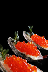 Red caviar.The caviar is in the oyster flaps. Black background. Vertical photo.