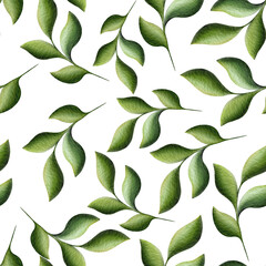 Fototapeta na wymiar Seamless pattern with green leaves and branches, watercolor hand draw element isolated on white background. Background for textile, paper and other print and web projects.