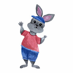 Fototapeta na wymiar watercolor hand drawn a gray hare, a rabbit in blue shorts and a red T-shirt 