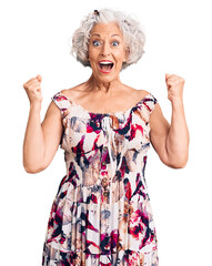 Senior grey-haired woman wearing casual clothes celebrating surprised and amazed for success with...