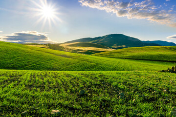 Fototapeta na wymiar green field in countryside at sunset in the evening light. beautiful spring landscape in the mountains. grassy field and hills. rural scenery