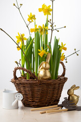 Easter holiday concept background decor bunny flowers pot