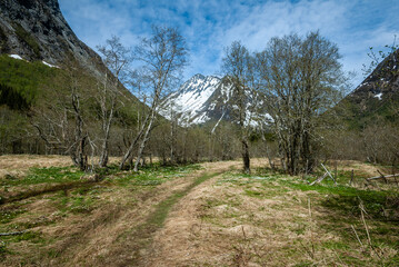 Fototapeta na wymiar path that leads towards Vassdalstinden in spring