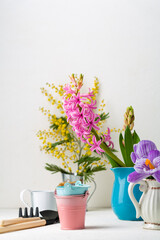 Fototapeta na wymiar Spring background with garden tools flowers copy space