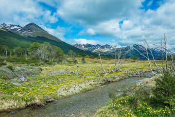 Landscape of Argentine Patagonia at the trail to Laguna Esmeralda (Emerald Lake) - Ushuaia, Argentina