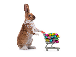 shopping trolley filled with multi-colored chocolates in the form of easter eggs