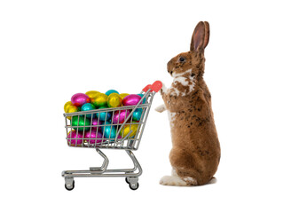 easter bunny standing with basket filled with candy easter eggs.