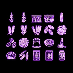 barley cereal grain harvest neon glow icon illustration