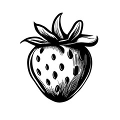 strawberry drawn hand drawn icon vector illustration, logo