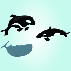 Obraz premium whales under the sea