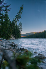 Golden Hour on the Athabasca: Sunrise Illuminates the Majestic River's Serene Beauty