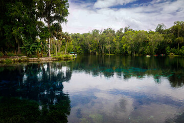 Fototapeta na wymiar The Natural Spring scenery of Silver Springs Florida