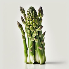 Green Delight: The Nutritious Asparagus Vegetable