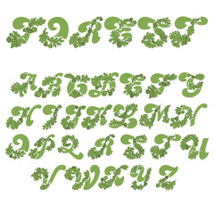 Eco decorative font from nature elements. Plant alphabet. Unusual letters from A to Z from the leaves and acorns of the common oak.