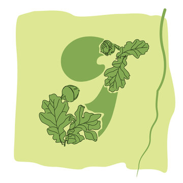 recommend clip art: Decorative typeface with a floral ornament made of leaves and acorns of the common oak. Unusual forest alphabet. Environmental typography.