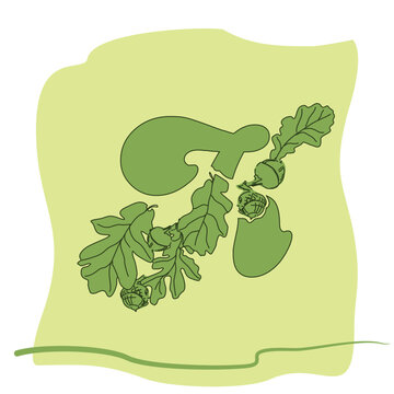 green oak leaves and acorns on light green clip art preview