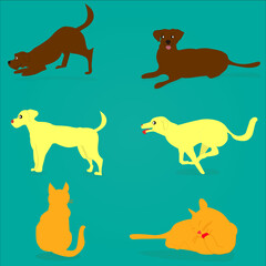 happy dog ​​and cat