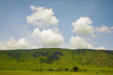 beautiful African landscape in Tanzania with trees and mountains.