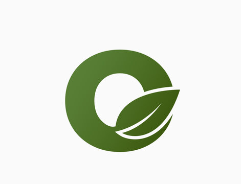 small letter o with leaf. eco alphabet logo. nature and environment design element. isolated vector image