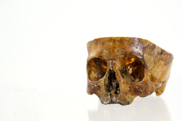 Human skull on isolated white background. High quality photo