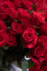 Variety of fresh cut red roses-floral background.