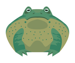 green bull frog