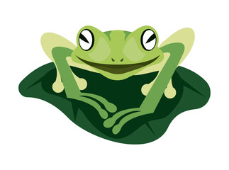 green frog in leaf